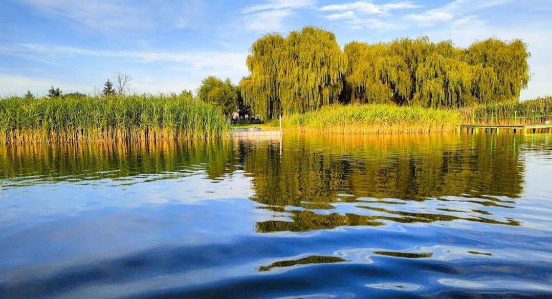 Przystan Nad Miazka Villa Sapowice Exteriör bild